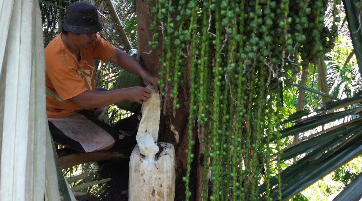 Penyulingan CapTikus